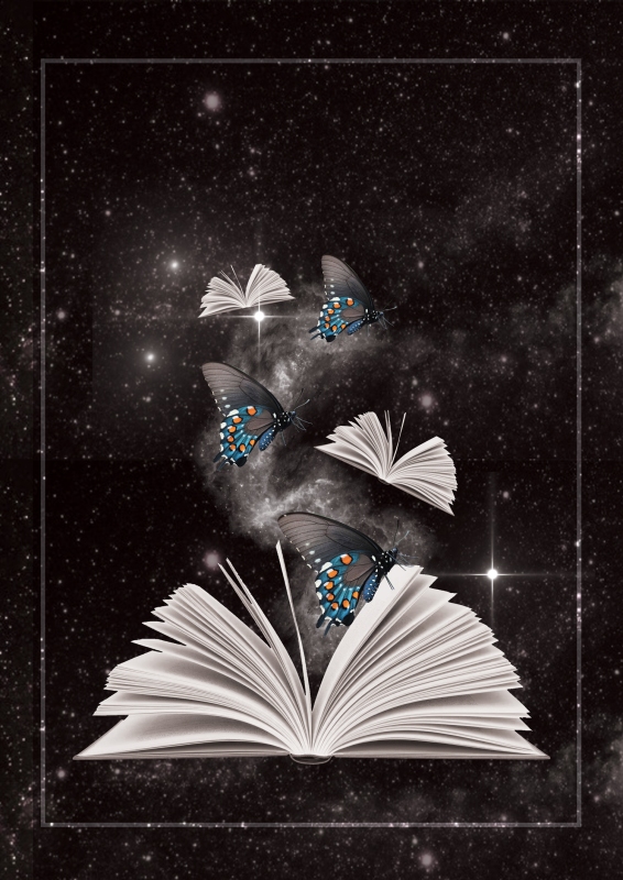 livres_et_papillons